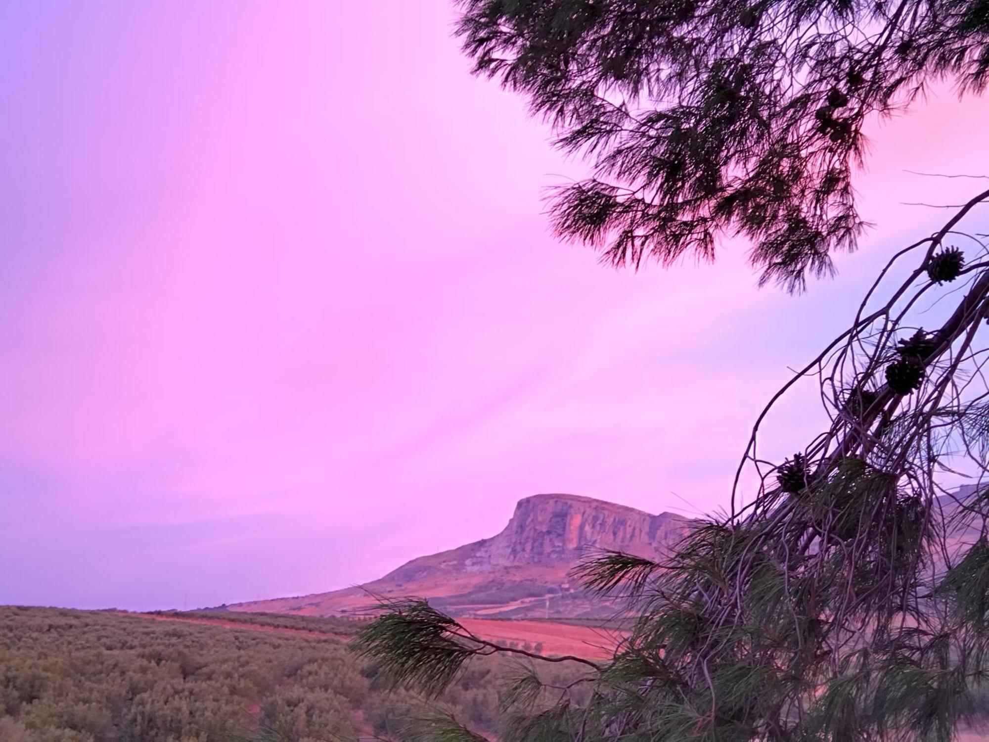 La Casuzza Di Lara Daire Sciacca Oda fotoğraf