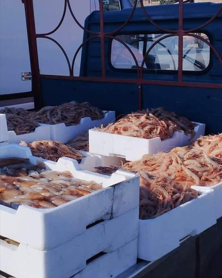 La Casuzza Di Lara Daire Sciacca Oda fotoğraf